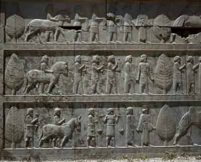 Os povos submissos oferecem presentes a Dario I. Relevos da escadaria oriental dos Apadanos, século VI a.C. de Persian School