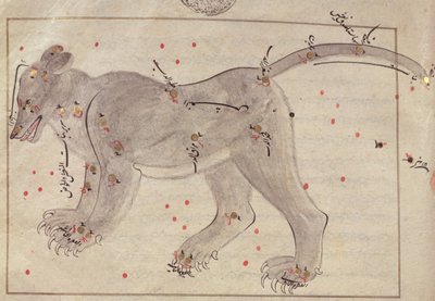 O Grande Urso, do Livro das Estrelas depois de El Hussein de Persian School