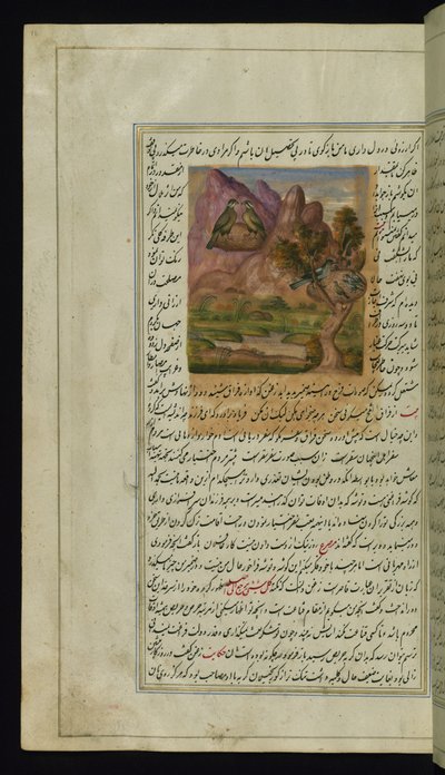 Dois falcões e um ninho de corvo das Luzes de Canopus de Persian School