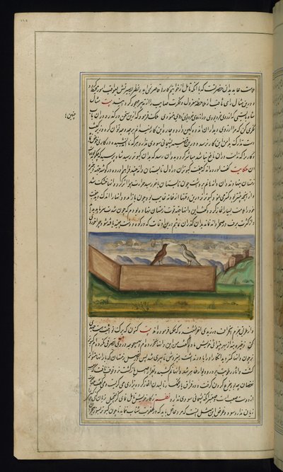 Dois pombos e um suprimento de grãos das Luzes de Canopus de Persian School