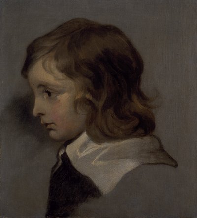Cabeça de um jovem rapaz (óleo sobre tela) de Peter (follower of) Lely