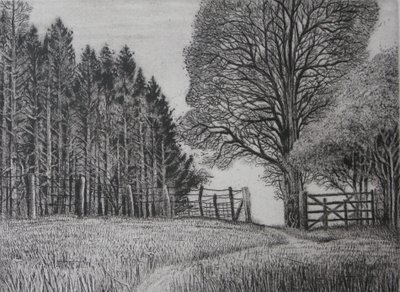 O Caminho da Floresta - primavera de Peter A Ford