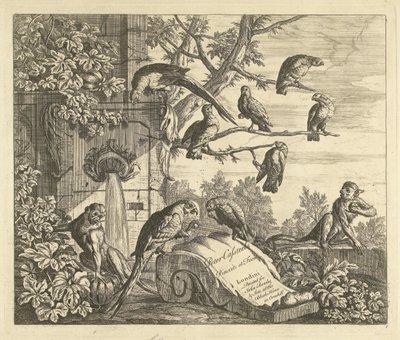 Papagaios e macacos em uma fonte de jardim Pássaros diferentes (título da série) de Peter Casteels (III)