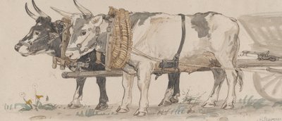 Dois bois puxando um carrinho, 1874. de Peter Christian Thamsen Skovgaard