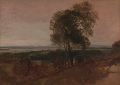 Estudo da paisagem ao pôr-do-sol de Peter DeWint