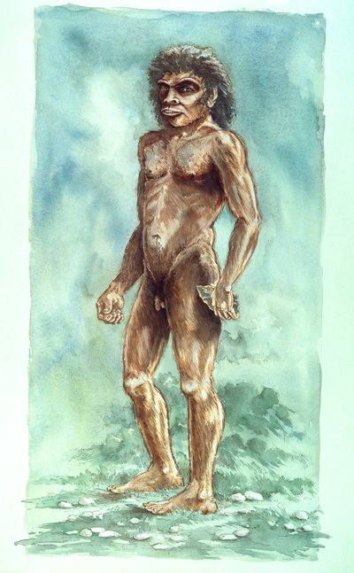 Boxgrove Man, Pré-histórico, 1990-2010 de Peter Dunn
