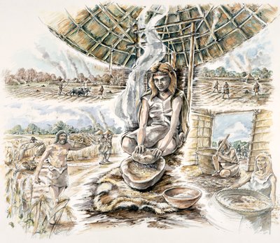 Produção de grãos neolíticos, c1990-2010 de Peter Dunn