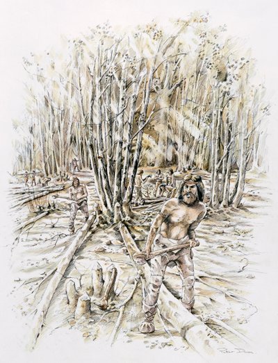 Usos de talhadia de pederneira, pré-histórico, c1990-2010 de Peter Dunn