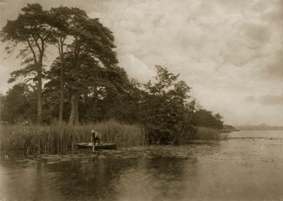 O Assombrado do Pike, c.1886 de Peter Emerson und Thomas Goodall