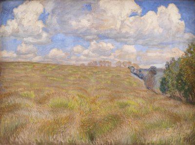 Um campo de centeio ondulante de Peter Hansen