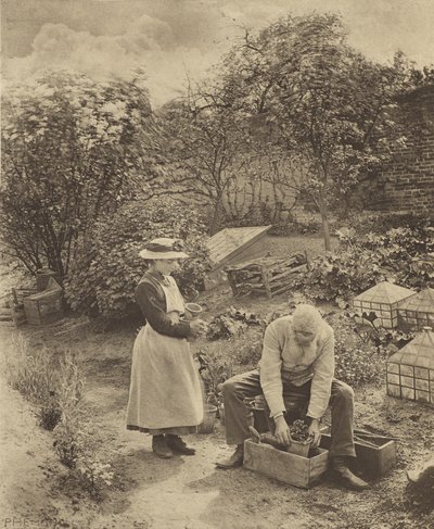  de Peter Henry Emerson