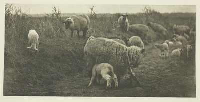Uma Marcha Pastoral (Suffolk) de Peter Henry Emerson