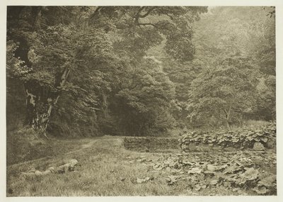 Um recanto tranquilo em Beresford Dale de Peter Henry Emerson
