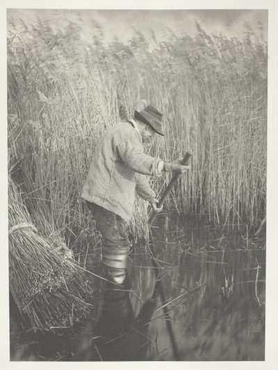 Um cortador de cana a trabalhar de Peter Henry Emerson