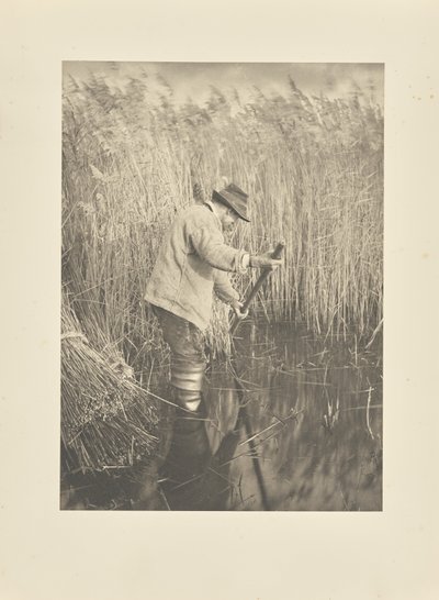  de Peter Henry Emerson