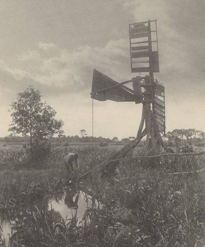 Um moinho de água em ruínas de Peter Henry Emerson