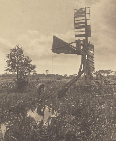  de Peter Henry Emerson