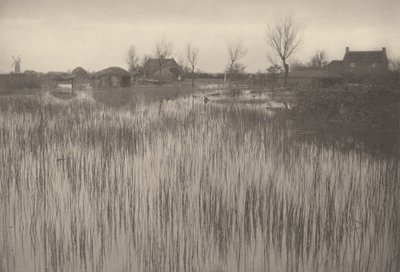 A Rushy Shore,1886 (foto) de Peter Henry Emerson