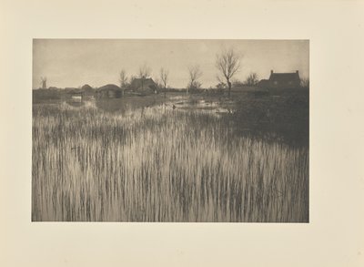 Uma costa de junco de Peter Henry Emerson