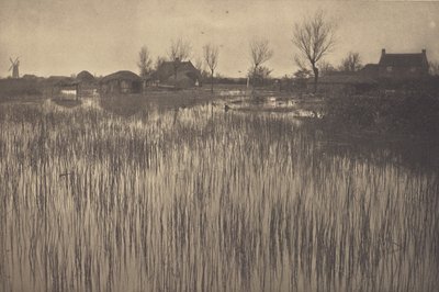 Uma costa de junco de Peter Henry Emerson