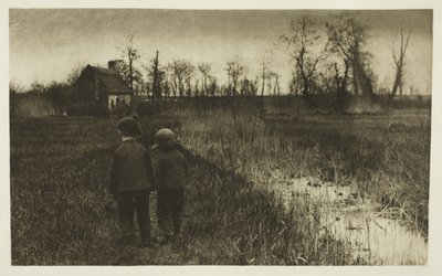 Um sapo no caminho: início da primavera em Norfolk de Peter Henry Emerson