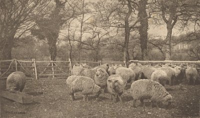  de Peter Henry Emerson