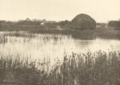 Inundações de outono de Peter Henry Emerson