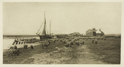Costa Negra, Rio Blythe (Suffolk) de Peter Henry Emerson