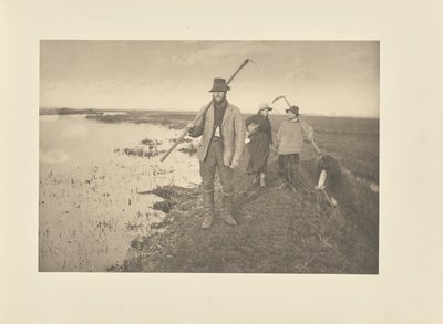 Regressar a casa dos pântanos de Peter Henry Emerson