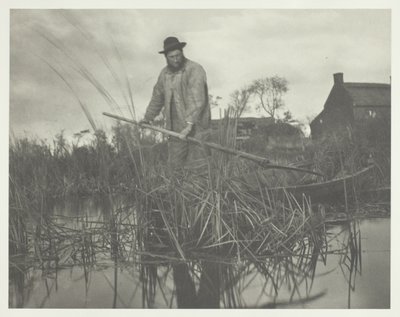 Corte do Gladdon de Peter Henry Emerson