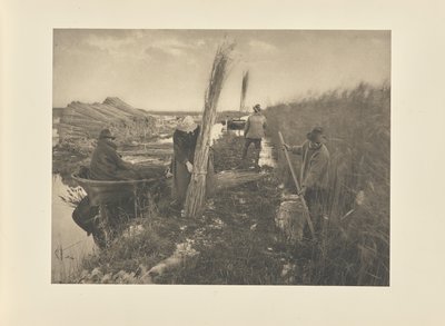 Durante a colheita do junco de Peter Henry Emerson