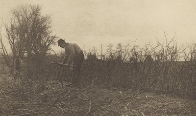 Vedações em Suffolk de Peter Henry Emerson