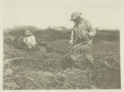 Corte de Furze em um Suffolk Common de Peter Henry Emerson