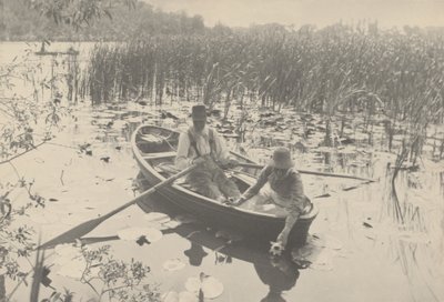 Colheita de nenúfares, 1886 (foto) de Peter Henry Emerson