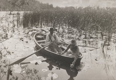 Coletando nenúfares de Peter Henry Emerson