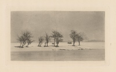 Espinheiros Retorcidos de Peter Henry Emerson