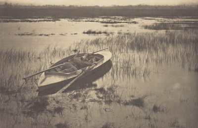 de Peter Henry Emerson
