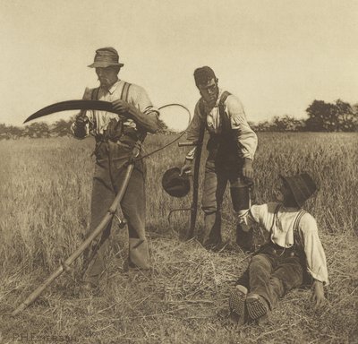 Na Colheita da Cevada, Suffolk, 1888 (fotogravura) de Peter Henry Emerson