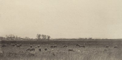 Marshes by the North Sea de Peter Henry Emerson