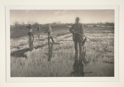 Homens a caçar num pântano de Peter Henry Emerson