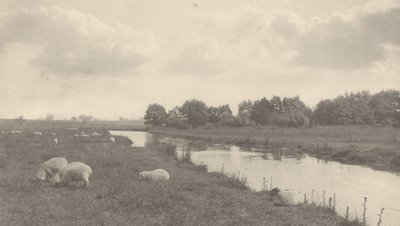 No Rio Bure de Peter Henry Emerson