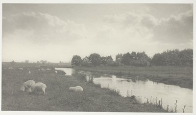 No rio Bure de Peter Henry Emerson