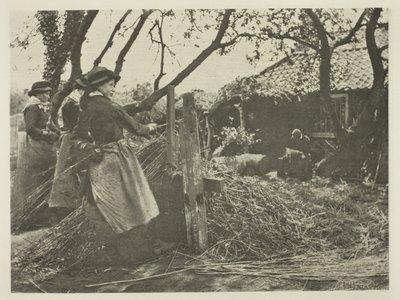 Descascamento de vime (Norfolk) de Peter Henry Emerson