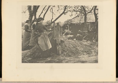VimePeeling. [Norfolk]]. de Peter Henry Emerson