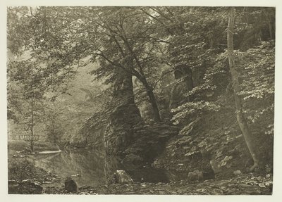 "Pike Pool" (a partir de baixo) de Peter Henry Emerson