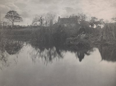Quanting the Gladdon de Peter Henry Emerson