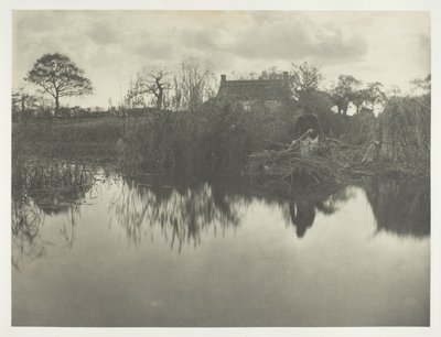 Quanting the Gladdon de Peter Henry Emerson