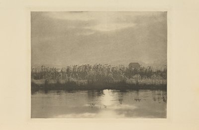  de Peter Henry Emerson