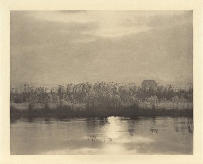 Cristais de cal, em ou antes de 1895 (foto) de Peter Henry Emerson
