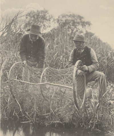 Configurando o Bow-Net de Peter Henry Emerson